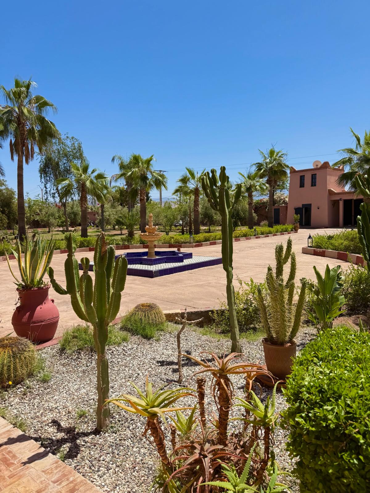 Riad Ines Marrakech - Jardin et piscine